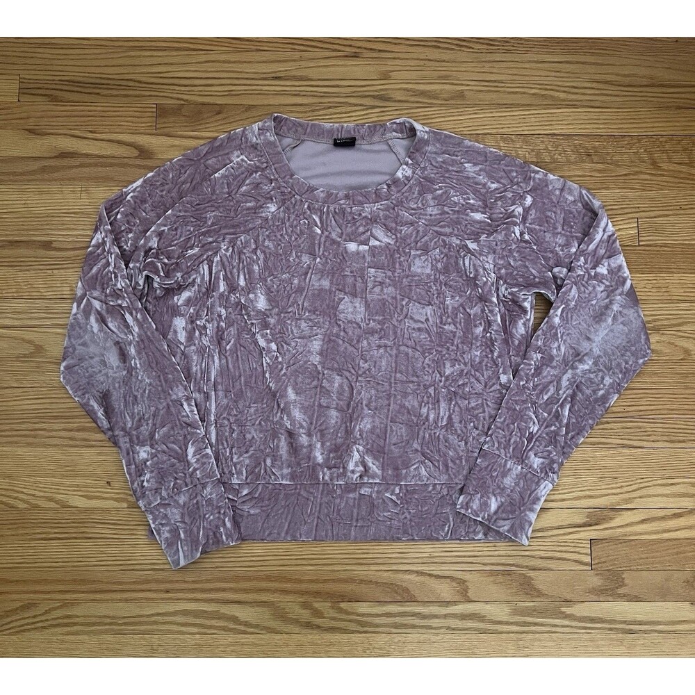 Blush Pink Crushed Velvet Long Sleeve Shirt Sweatshirt Cozy Free Press Size Sm